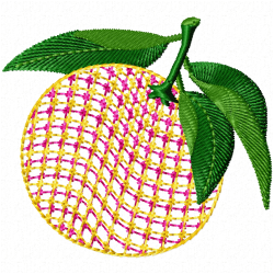 Orange Embroidery Design 4